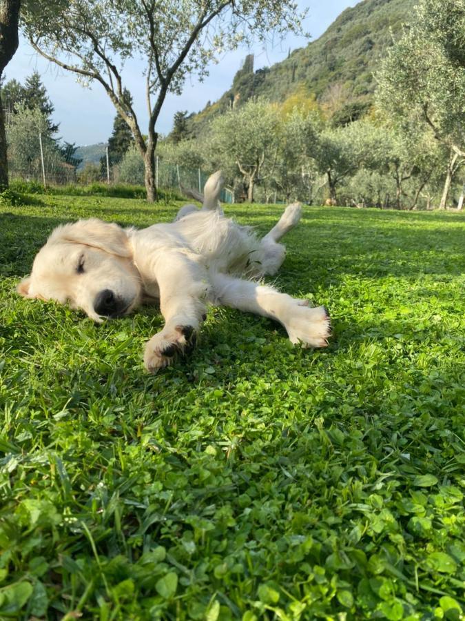 Sotto Il Cielo Di Toscana Only Adults