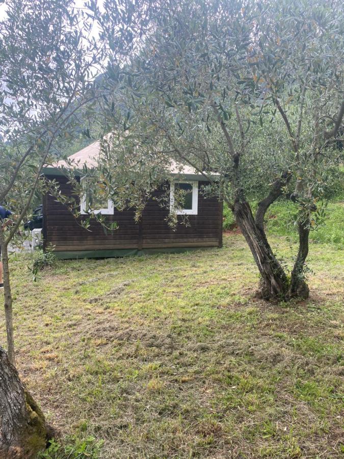 Sotto Il Cielo Di Toscana Only Adults Casa vacanze