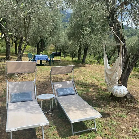 Sotto Il Cielo Di Toscana Appartamenti In Tenuta Only Adults No Pet Camaiore Exterior foto