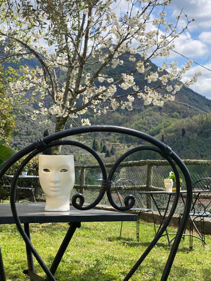 Sotto Il Cielo Di Toscana In Tenuta Only Adults No Pet Ferienhaus Camaiore
