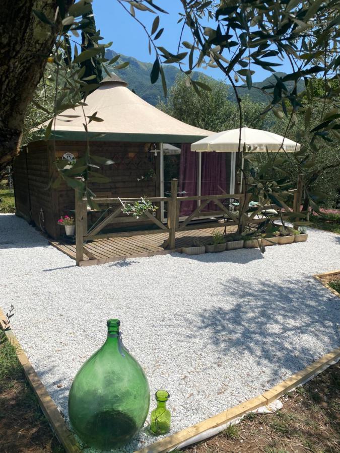 Sotto Il Cielo Di Toscana In Tenuta Only Adults No Pet
