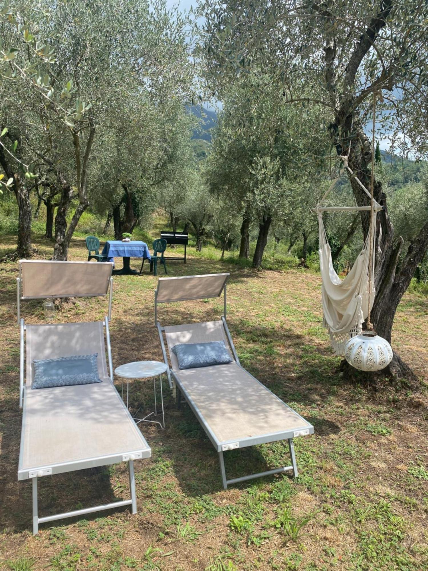 Sotto Il Cielo Di Toscana In Tenuta Only Adults No Pet Ferienhaus Camaiore